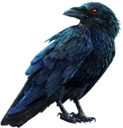 HELLSpin Casino Bonus